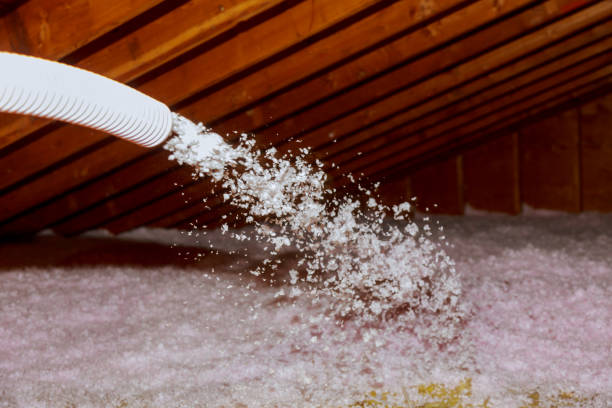 Best Best Insulation Companies  in Fetters Hot Springs Agua Liente, CA