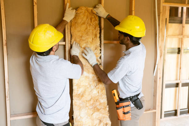 Best Insulation Contractors for Homes  in Fetters Hot Springs Agua Liente, CA