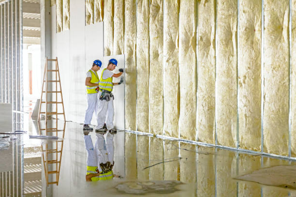 Best Insulation Replacement Services  in Fetters Hot Springs Agua Liente, CA